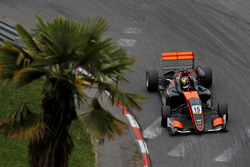 Кейван Андрес, Van Amersfoort Racing, Dallara F317 Mercedes-Benz