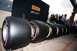The 2017 Pirelli F1 tyres