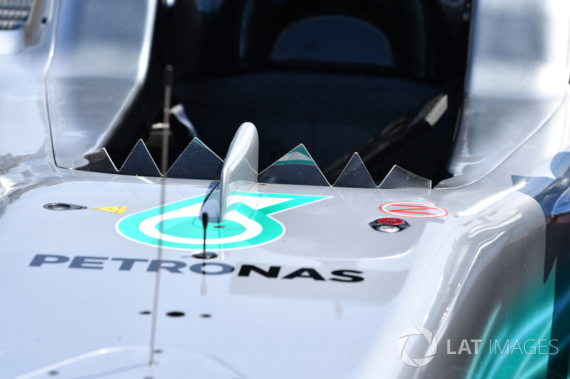 Windscherm Mercedes W08