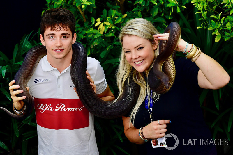 Charles Leclerc, Sauber bir yılan ile