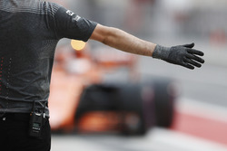 Stoffel Vandoorne, McLaren MCL32