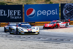 #5 Action Express Racing Corvette DP: Joao Barbosa, Christian Fittipaldi