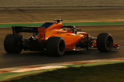 Stoffel Vandoorne, McLaren MCL33