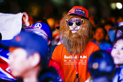 A fan of Max Verstappen, Red Bull
