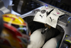 Рукавички Льюіса Хемілтона, Mercedes AMG F1