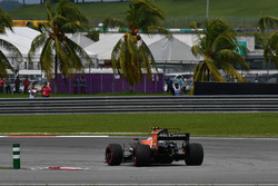 Stoffel Vandoorne, McLaren MCL32