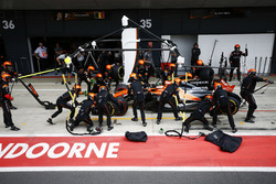 Stoffel Vandoorne, McLaren MCL32, pit stop