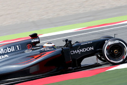 Stoffel Vandoorne, McLaren MP4-31 Test- en reservecoureur