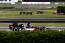 Graham Rahal, Rahal Letterman Lanigan Racing Honda