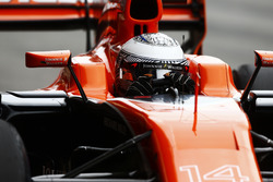 Fernando Alonso, McLaren