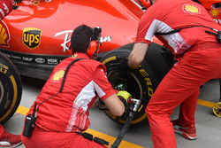 Ferrari takım elemanı