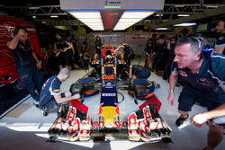 Pierre Gasly, Scuderia Toro Rosso