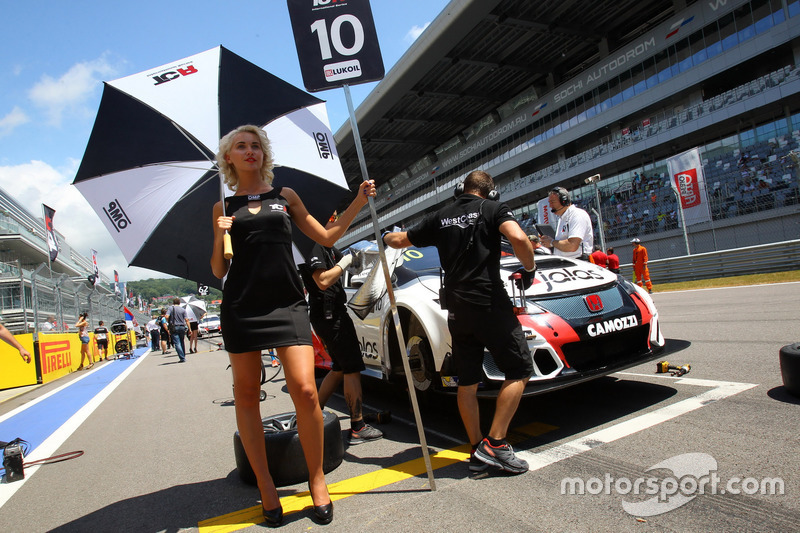 Chica de la parrilla para Gianni Morbidelli, West Coast Racing, Honda Civic TCR