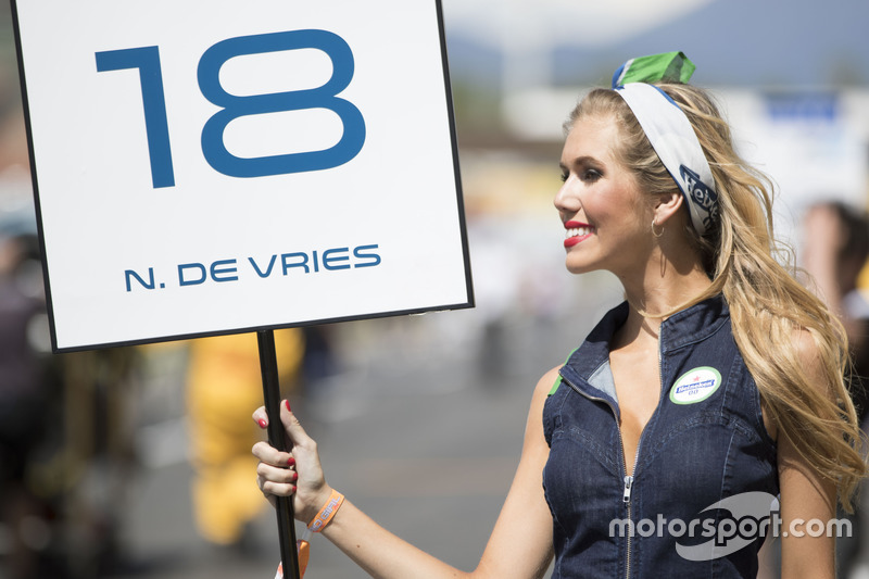 The grid girl of Nyck De Vries, Rapax