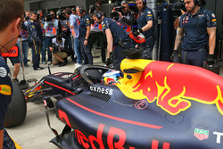 Daniel Ricciardo, Red Bull Racing RB12, mit Cockpitschutz