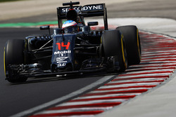Fernando Alonso, McLaren MP4-31