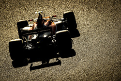 Стоффель Вандорн, McLaren MCL32