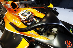 Stoffel Vandoorne, McLaren, mit Halo