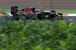 Данііл Квят, Scuderia Toro Rosso STR11