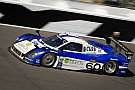 Pew and Negri return to Michael Shank Racing for 4th season Pew and Negri return to Michael Shank Racing for 4th season