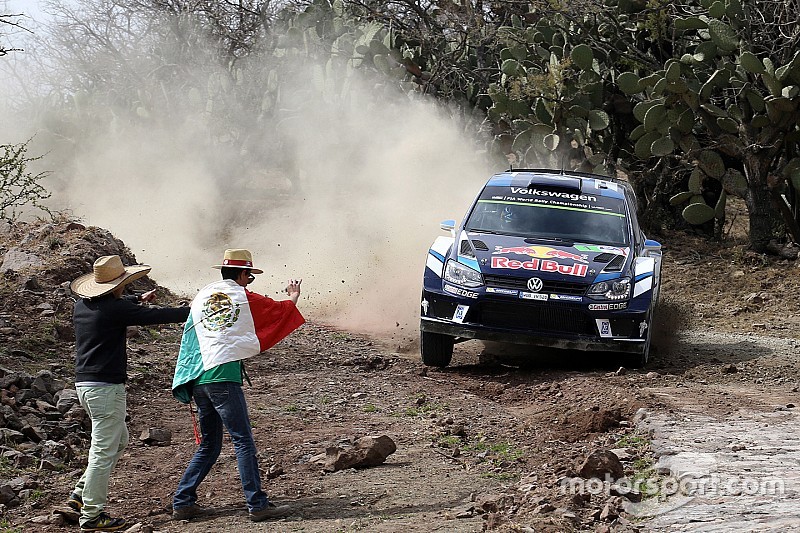 Video: Ogier ontwijkt overstekende koeien maar net