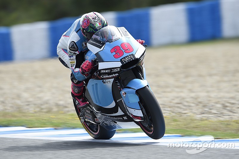 Pons: