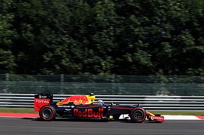 Horner: "Verstappen en Ricciardo hebben zelf hun strategie gekozen"