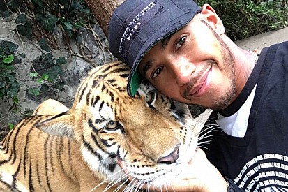 Lewis Hamilton asusta a un tigre