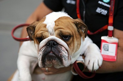 Coco, la estrella en el paddock de Austin