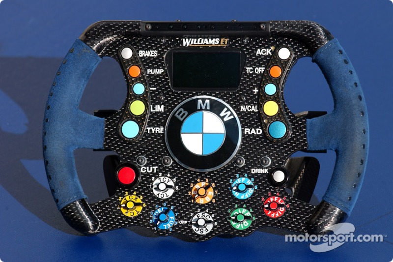f1-british-gp-2004-williams-bmw-steering