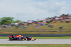 Daniel Ricciardo, Red Bull Racing RB11