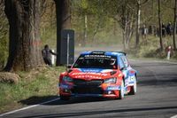 Grzyb wyraźnie prowadzi