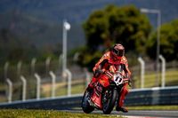 WSBK Assen: Bulega arrasa en la Carrera 1, Toprak sufre y Bautista se cae