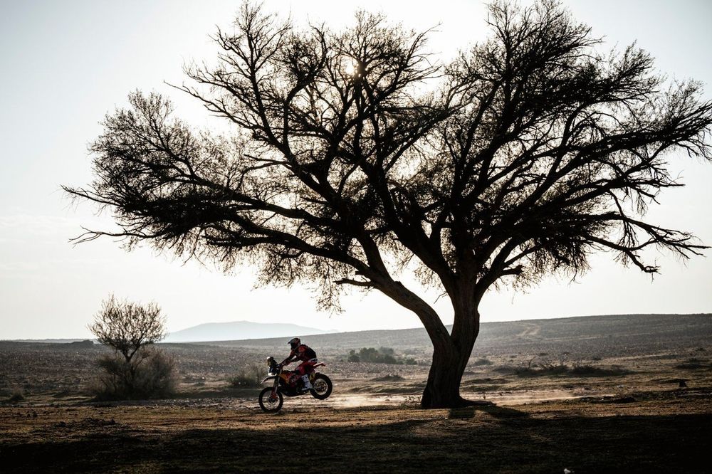 #4 Red Bull KTM Factory Racing KTM: Daniel Sanders