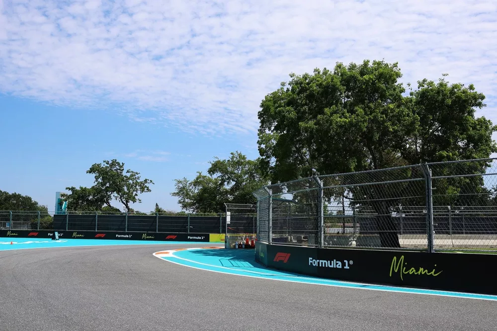 A general view of the circuit
