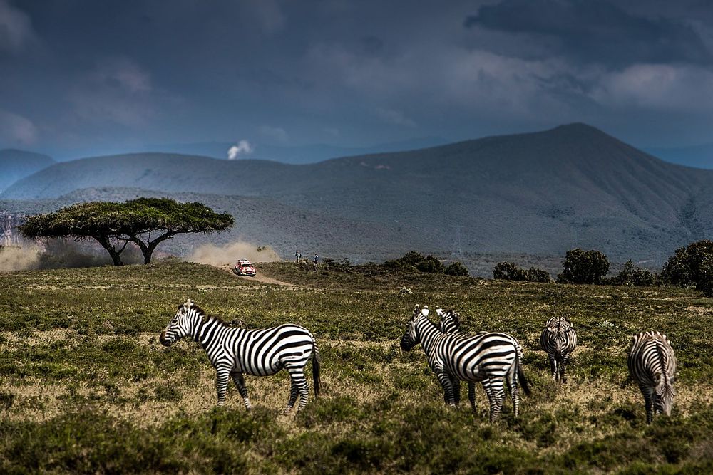 Martin Prokop, Viktor Chytka, M-Sport Ford WRT Ford Fiesta Rally2