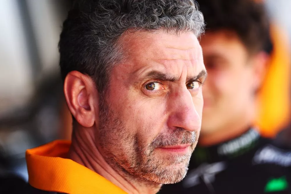 Andrea Stella, McLaren