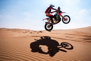 Schareina i Dąbrowski lubią wydmy