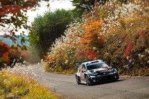 WRC - Ogier vence a Evans en Japón y el título queda al rojo vivo; Cachón gana en WRC2
