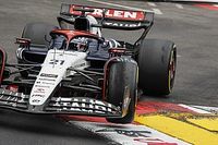 Nieprawdziwe komentarze de Vriesa