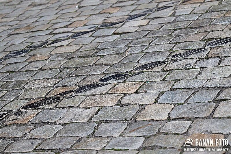 RSMP 2019, Rajd Świdnicki-KRAUSE