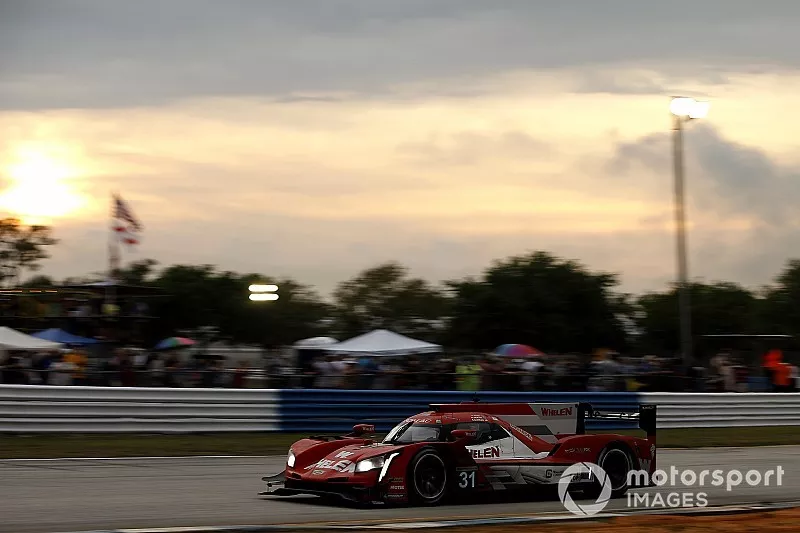 #31 Action Express Racing Cadillac DPi: Felipe Nasr, Eric Curran, Pipo Derani