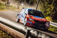 Grzyb rządzi nad Wisłą