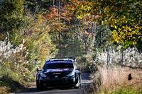 (Moto)Wizja Tygodnia &ndash; 3-10 listopada