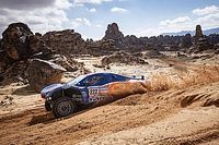 Galeria zdjęć: Etap 4 Rajdu Dakar