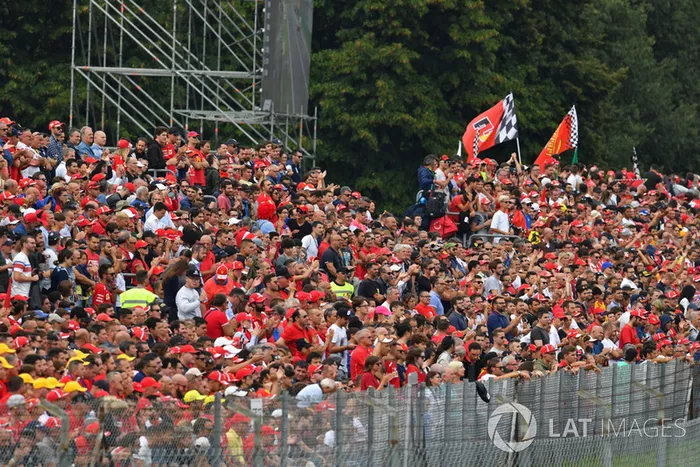 Fans 
