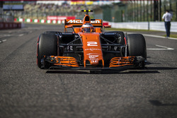 Stoffel Vandoorne, McLaren MCL32