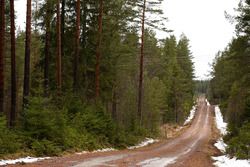 Parte de la ruta del rally