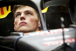 Halo-Cockpitschutz am Auto von Max Verstappen, Red Bull Racing RB12