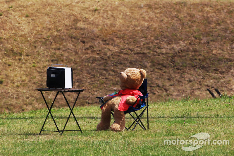 A teddy bear watches television